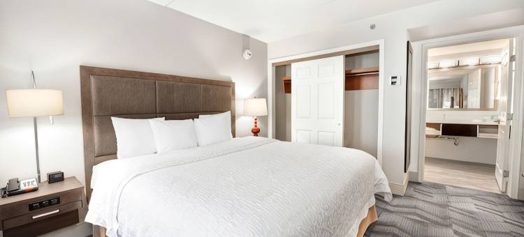 欢朋酒店加亚特兰大广场套房(Hampton Inn & Suites Atlanta-Galleria)图片