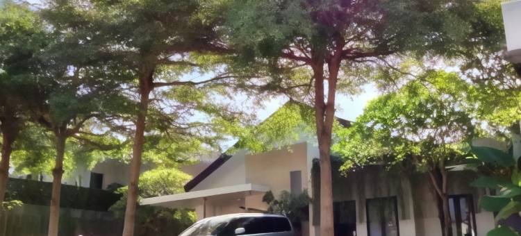 Kertanegara Homestay图片