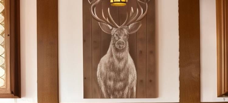 皇宫城堡酒店(Hotel Kaiserpfalz)图片