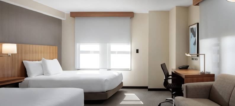 新奥尔良会议中心凯悦嘉轩酒店(Hyatt Place New Orleans Convention Center)图片