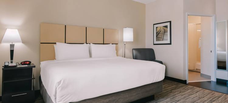Candlewood Suites 圣安东尼奥机场 IHG酒店(Candlewood Suites San Antonio Airport)图片