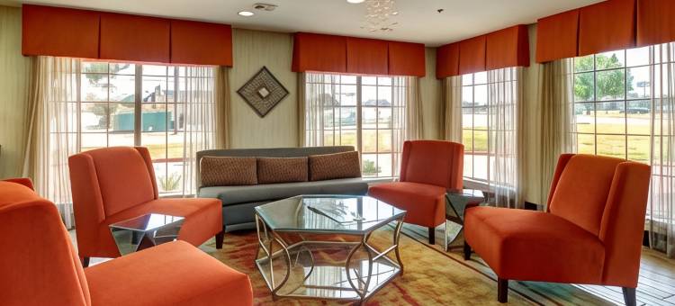 阿林顿6号汽车旅馆(Motel 6 Arlington, TX)图片