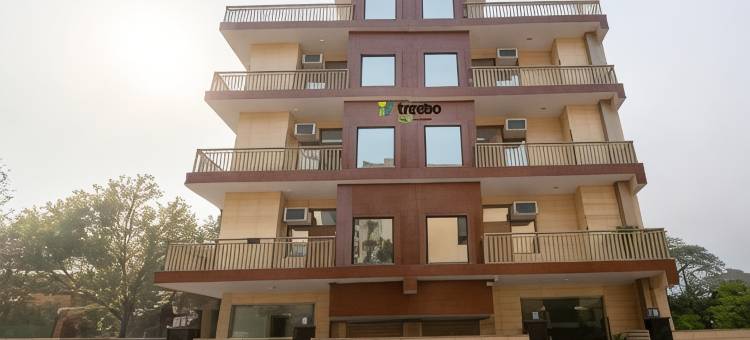 Treebo Elite Corporate, Sector 62图片