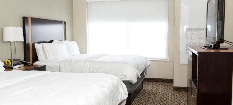 埃芬汉假日酒店(Holiday Inn EFFINGHAM by IHG)图片