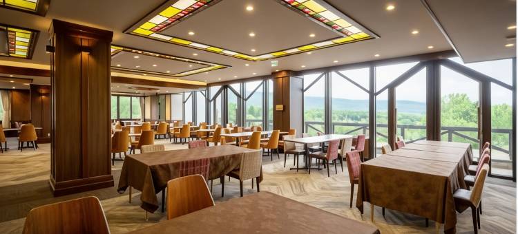 八幡平山酒店及Spa(Hachimantai Mountain Hotel & Spa)图片