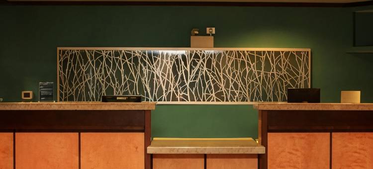 费尔蒙特万枫酒店及套房(Fairfield Inn & Suites Fairmont)图片