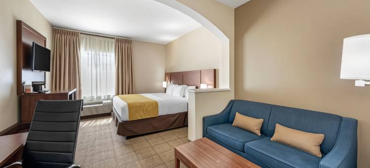 舒适套房酒店(Comfort Suites)图片