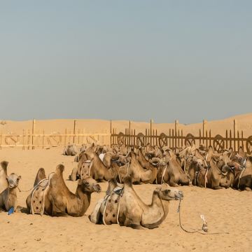 埃及开罗12日11晚私家团