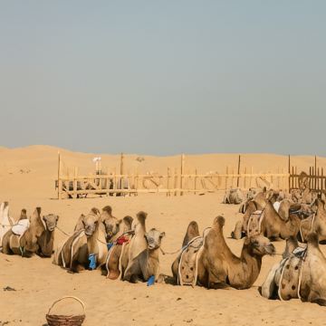 埃及开罗12日11晚私家团