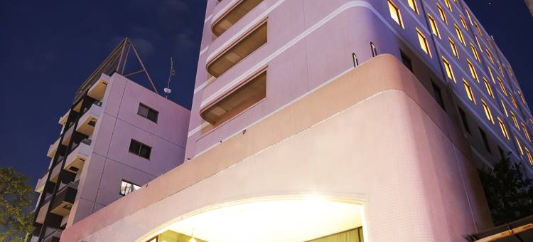 宫崎第一酒店(Miyazaki Daiichi Hotel)图片