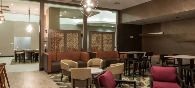 登顿SpringHill Suites 酒店(SpringHill Suites Denton)图片