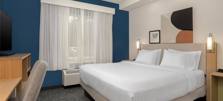 万豪旗下兰卡斯特万枫酒店(Fairfield by Marriott Inn & Suites Lancaster)图片