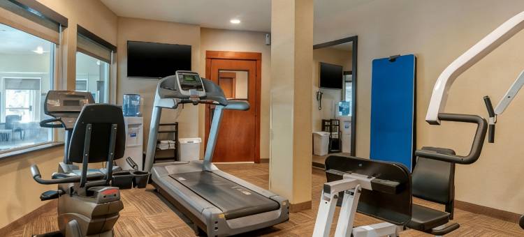 舒适套房酒店(Comfort Inn & Suites)图片