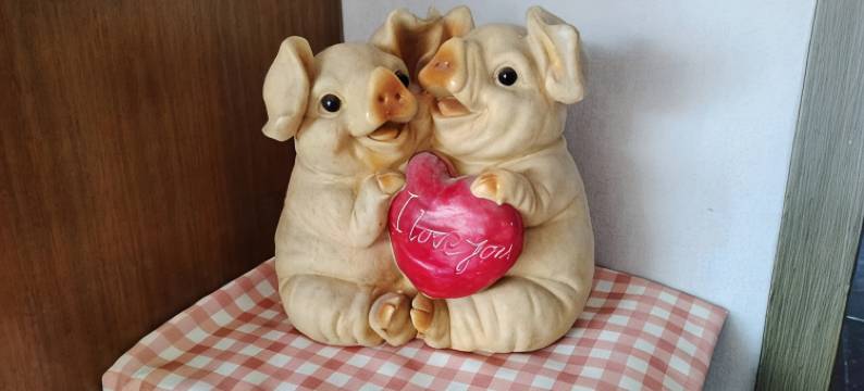 海韵海景房公寓(环海路分店)图片