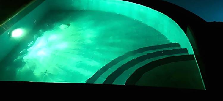 星尘海滩酒店(Stardust Beach Hotel)图片