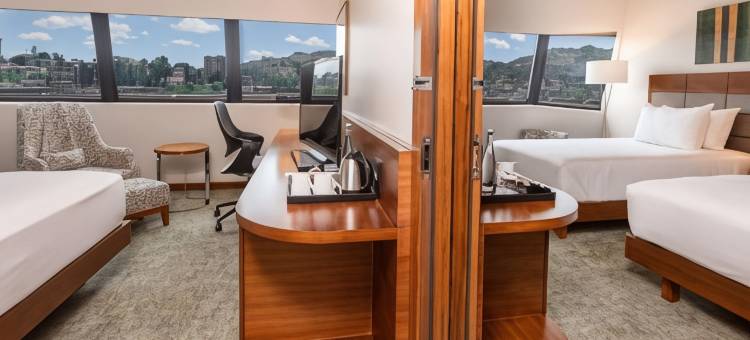 斯威士兰姆巴巴纳希尔顿花园酒店(Hilton Garden Inn Mbabane)图片