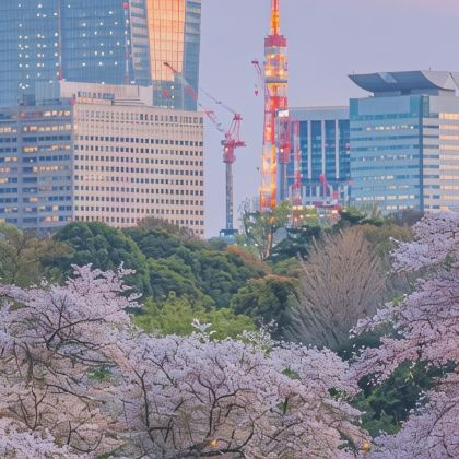 名古屋+大阪府+东京+京都府6日5晚拼小团