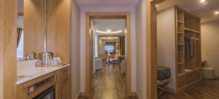 科尼亚温德姆华美达广场酒店(Ramada Plaza by Wyndham Konya)图片