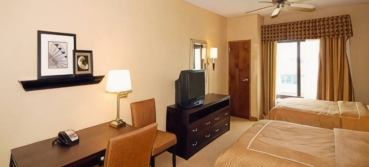 舒适套房酒店-DFW N/葡萄藤(Comfort Suites DFW N-Grapevine)图片