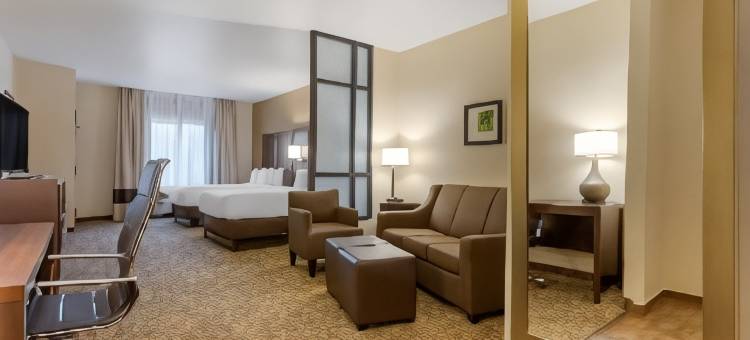 舒适套房酒店-小石城西(Comfort Suites Little Rock West)图片
