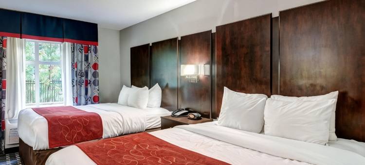 威廉斯堡历史区舒适套房酒店(Comfort Suites Williamsburg Historic Area)图片