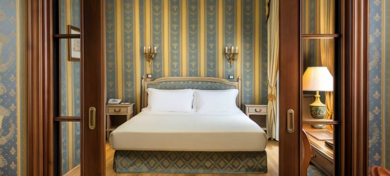 席纳德拉威乐酒店(Sina de La Ville)图片