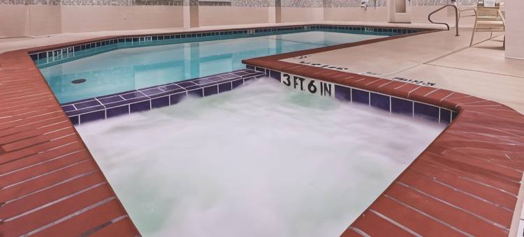 威奇托福尔斯密歇根州立大学区拉昆塔温德姆套房酒店(La Quinta Inn & Suites by Wyndham Wichita Falls - MSU Area)图片