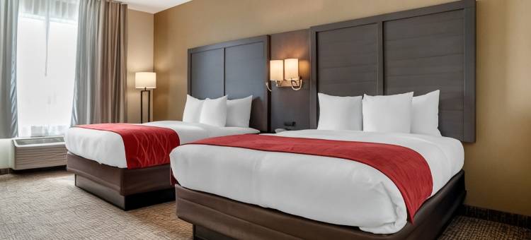 米尔布鲁克-普拉特维尔舒适套房酒店(Comfort Inn & Suites Millbrook-Prattville)图片