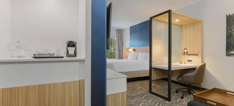 特拉基太浩湖万豪春山套房酒店(SpringHill Suites by Marriott Truckee Lake Tahoe)图片