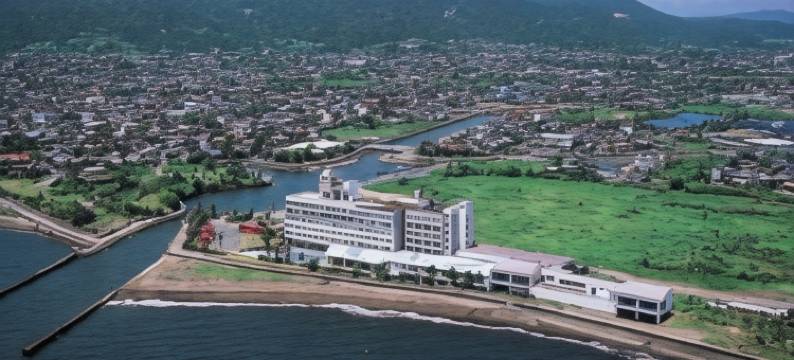 指宿海滨酒店(Ibusuki Seaside Hotel)图片