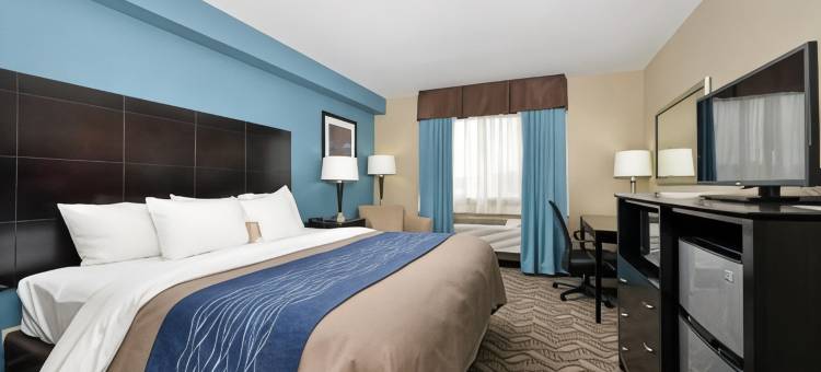 斯普林菲尔德I-55舒适套房酒店(Comfort Inn & Suites Springfield I-55)图片