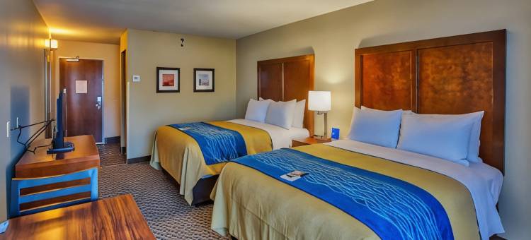 爱德华兹维尔圣路易斯舒适酒店(Comfort Inn Edwardsville - St Louis)图片