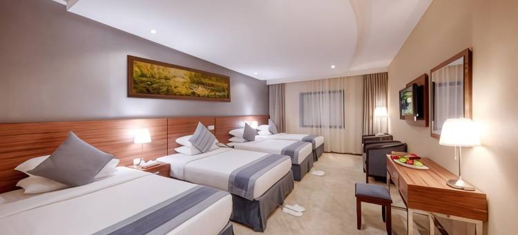 阿尔萨法瓦兰花酒店(Al Safwah Orchid Hotel)图片