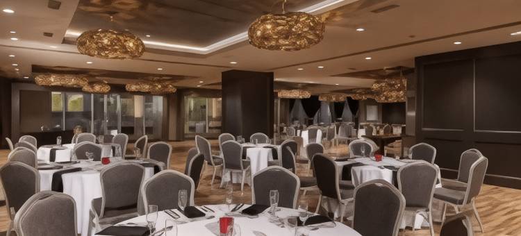 匹兹堡市中心希尔顿花园酒店(Hilton Garden Inn Pittsburgh Downtown)图片