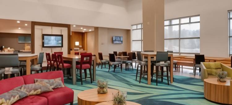奥兰多莱克布纳维斯塔南SpringHill Suites 酒店(SpringHill Suites Orlando Lake Buena Vista South)图片