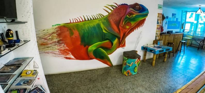 Posada Cultural Bahia Sonora图片