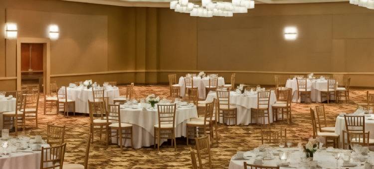 亚特兰大巴克海区特威斯汀酒店(The Westin Buckhead Atlanta)图片