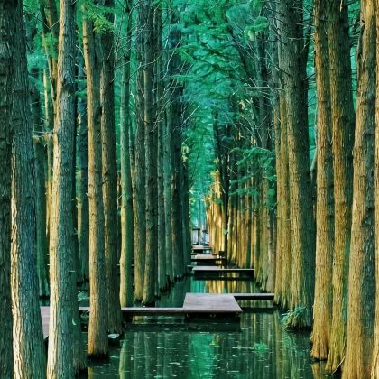 扬州+兴化4日3晚私家团