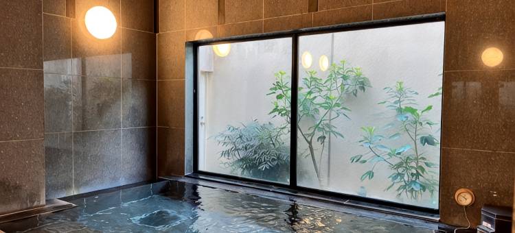 露樱酒店水海道站前店(Hotel Route-Inn Mitsukaido Ekimae)图片