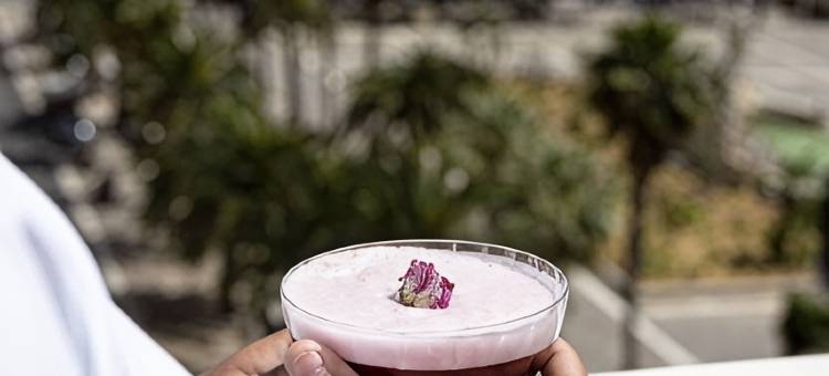 土伦中心 OKKO 酒店(OKKO HOTELS Toulon Centre)图片