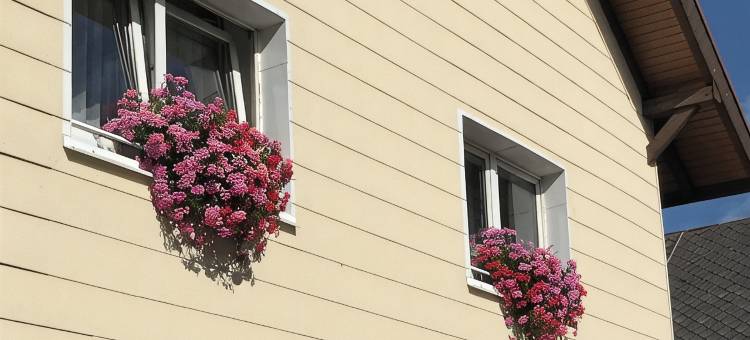 Comfortable apartment in the middle of the southern Black Forest图片