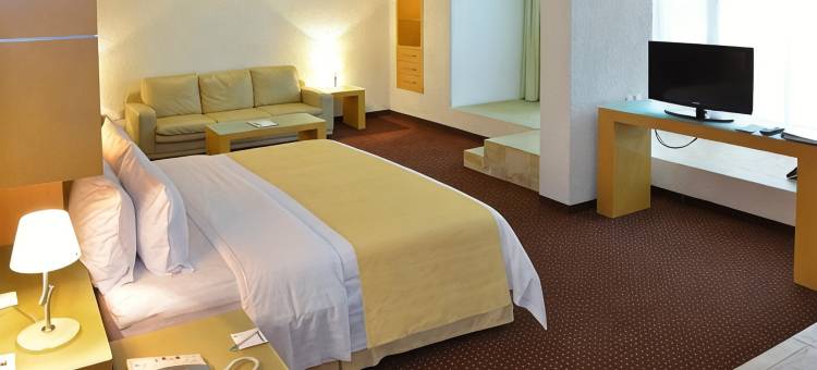 Holiday Inn 莫雷利亚(Holiday Inn MORELIA by IHG)图片