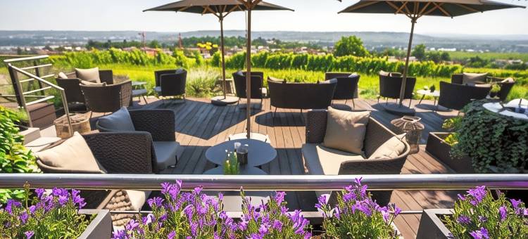 施瓦岑斯坦堡Relais & Châteaux酒店(Relais & Châteaux Hotel Burg Schwarzenstein)图片