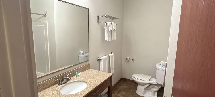 卡特吉愉夜酒店，靠近德拉姆堡(Pleasant Night Inn Carthage Near Fort Drum)图片