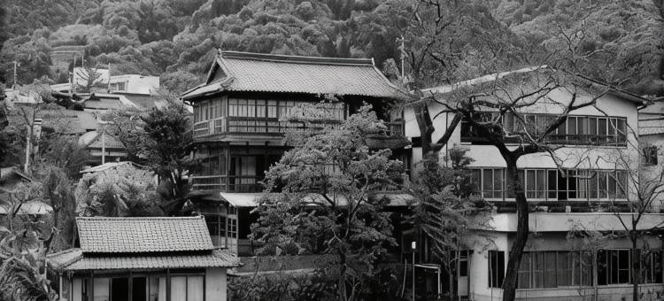 古汤温泉 扇屋(Oogiya Ryokan)图片