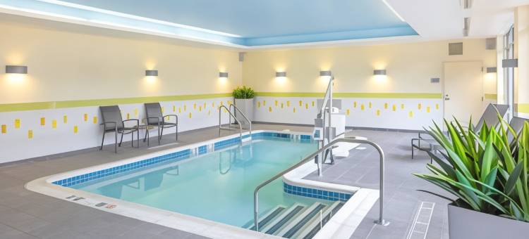 斯普林菲尔德北安普敦/阿默斯特万枫酒店(Fairfield Inn & Suites Springfield Northampton/Amherst)图片