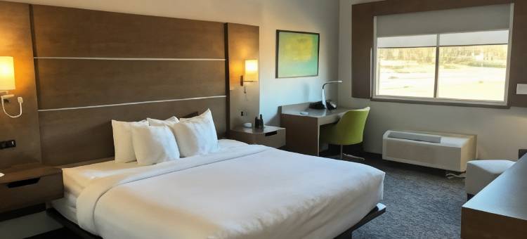 舒适套房酒店 - 近路易斯维尔湖(Comfort Inn & Suites Near Lake Guntersville)图片