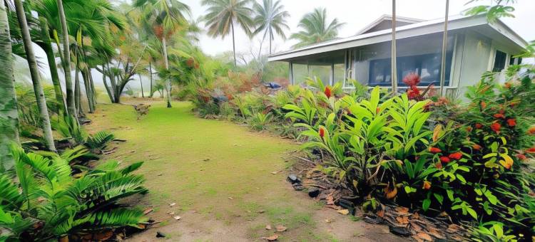 自然海龟小屋(Natura Turtle Bungalow)图片