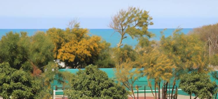 突尼斯维尔迪海滩度假村(Verdi Tunis Beach Resort)图片