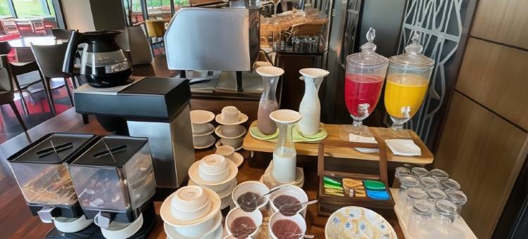 圣克鲁斯瑞士酒店(Swissôtel Santa Cruz de La Sierra)图片